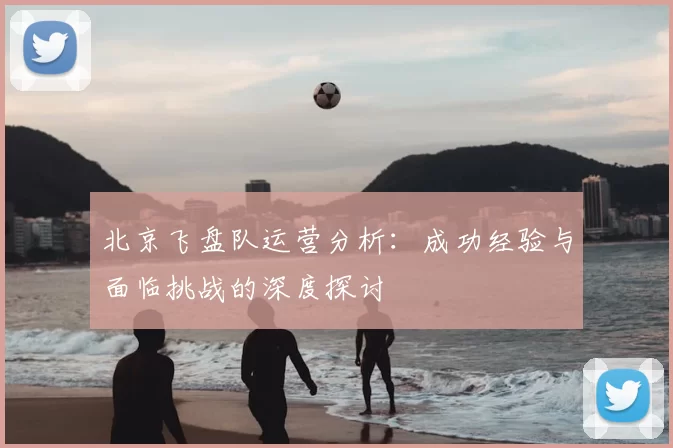 北京飞盘队运营分析：成功经验与面临挑战的深度探讨