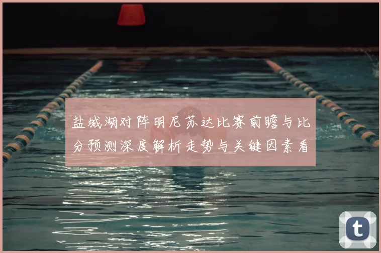 盐城湖对阵明尼苏达比赛前瞻与比分预测深度解析走势与关键因素看点