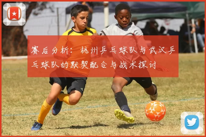 赛后分析：杭州乒乓球队与武汉乒乓球队的默契配合与战术探讨