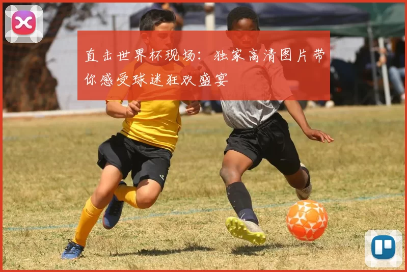 直击世界杯现场:独家高清图片带你感受球迷狂欢盛宴