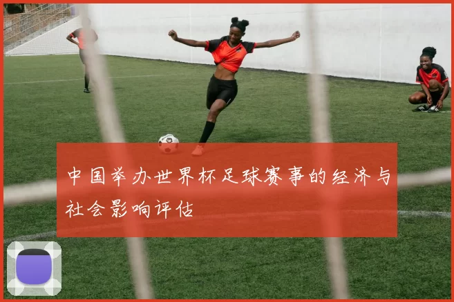 中国举办世界杯足球赛事的经济与社会影响评估