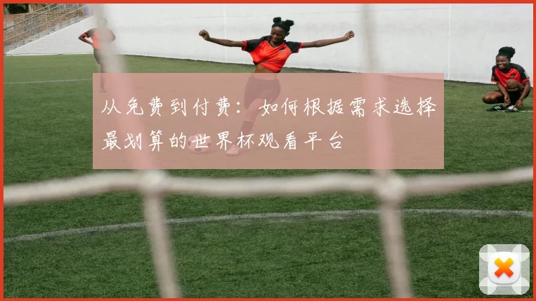 从免费到付费:如何根据需求选择最划算的世界杯观看平台