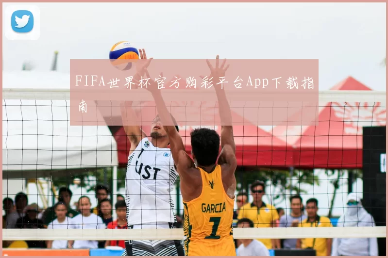 FIFA世界杯官方购彩平台App下载指南