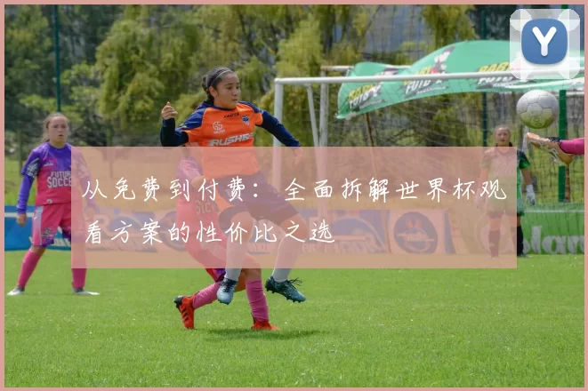 从免费到付费:全面拆解世界杯观看方案的性价比之选