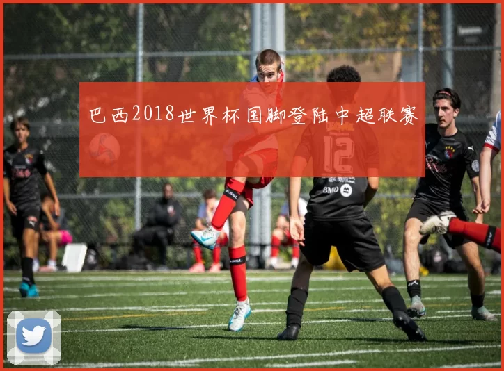 巴西2018世界杯国脚登陆中超联赛