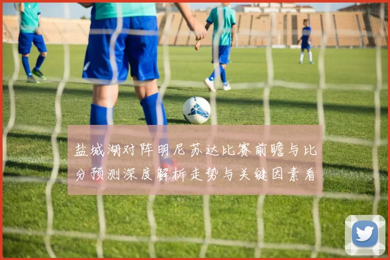 盐城湖对阵明尼苏达比赛前瞻与比分预测深度解析走势与关键因素看点