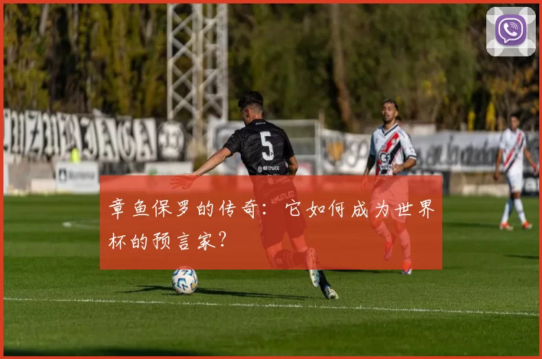章鱼保罗的传奇:它如何成为世界杯的预言家?