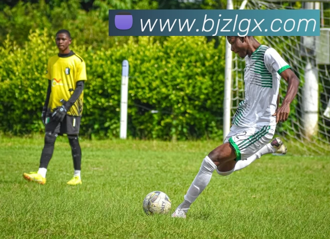 爱游戏体育平台生态图