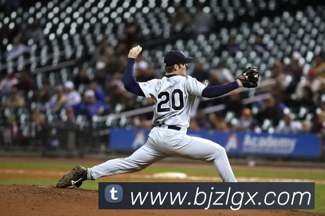 爱游戏体育全站App